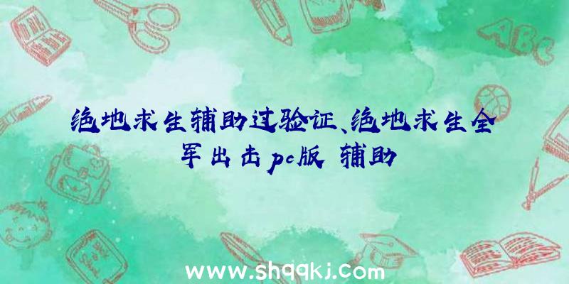 绝地求生辅助过验证、绝地求生全军出击pc版